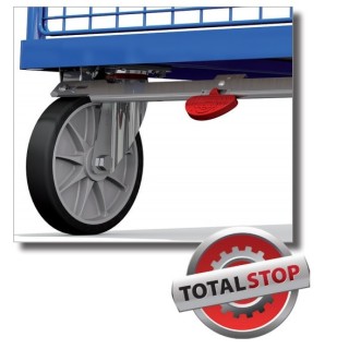 Système de blocage centralisé pour chariots