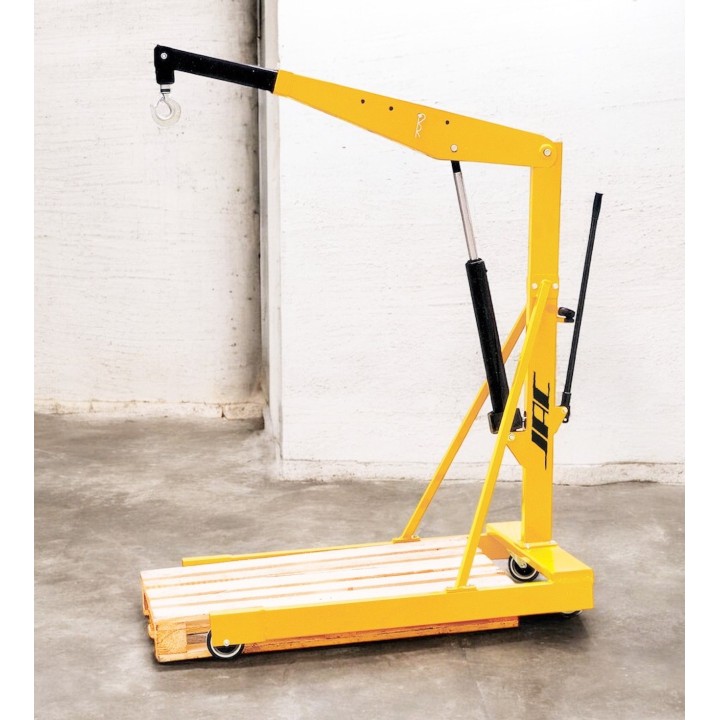 Grue d'atelier à bras encadrant charge 1000 Kg